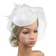 thumbnail image 2 of Horquilla pequeña con forma de sombrero de copa, flor, pluma, red de gasa, fiesta temática, graduación, fiesta, diadema, tocado, 2 of 8