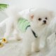 thumbnail image 5 of Camisas para perros Chalecos para camisetas para perros, Camisas para cachorros, Ropa de vacaciones para perros, Ropa para mascotas transpirable pequeña y mediana MFZFUKR M, 5 of 5