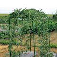 thumbnail image 2 of 3pcs Réseau Jardinage Fruit Vignes Fleur Pétunia Escalade Net Concombre Buisson Courge Vignes Net (Vert), 2 of 5