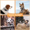 thumbnail image 5 of Miaocao 2 Pack Reflective Dog Collar with Safety Locking Buckle, Adjustable Soft Breathable Comfortable Nylon Pet Collar for Small, Medium and Large Dogs, Turquoise, S, 5 of 5