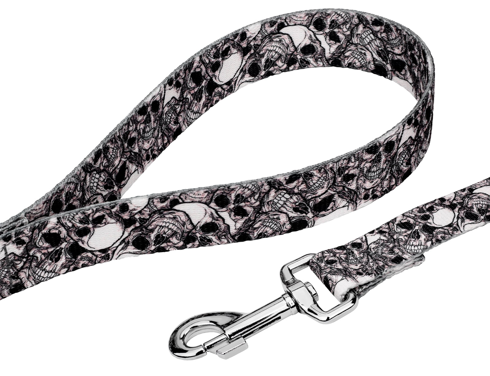 Country Brook Petz® Phantom Skulls Martingale Dog Collar and Leash, Medium