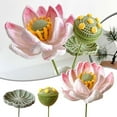 thumbnail image 6 of Girlsshop Hand-Crocheted Lotus Finished Product Knitted Wool Simulated Flower,1, 6 of 7