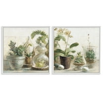 Stupell Industries Succulent House Plants Country Charm Botanical & Floral Painting White Framed Art Print Wall Art, 17 x 17, Set of 2
