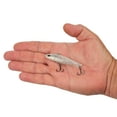 thumbnail image 4 of Berkley Ripfish, 7, Broken Glass, 4 of 5