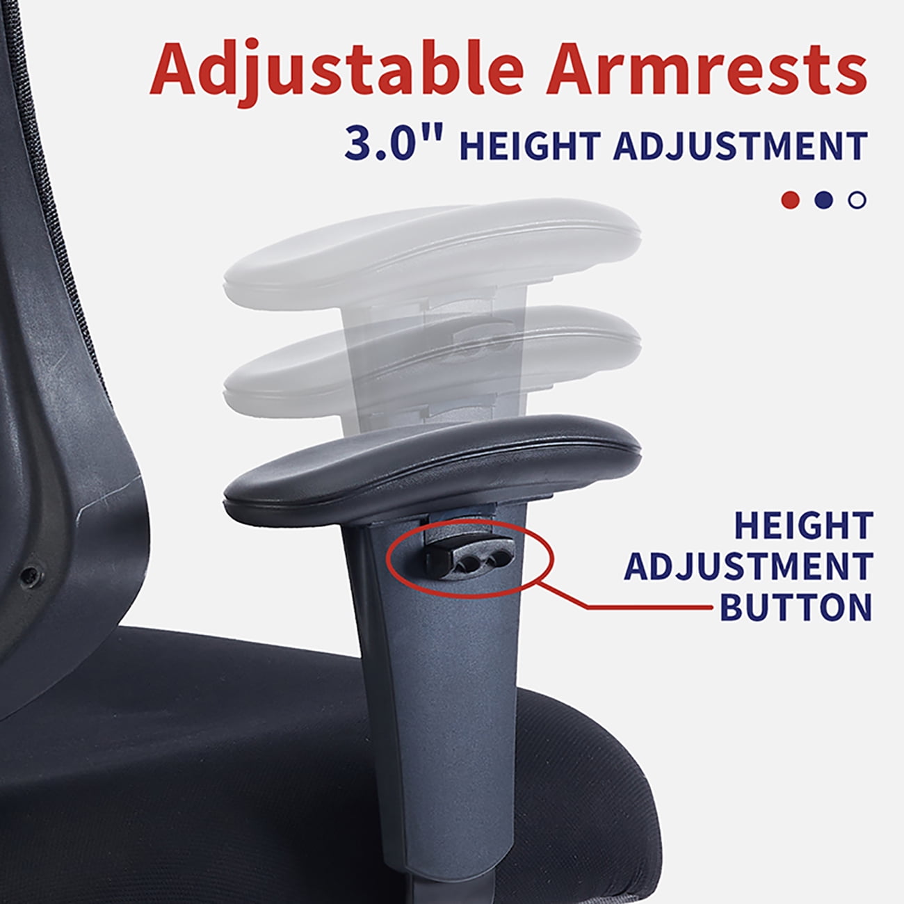 Furniture of America Lulo 24 in Executive Chair with Adjustable Back & Lumbar Support, 350 lb. Capacity, Black