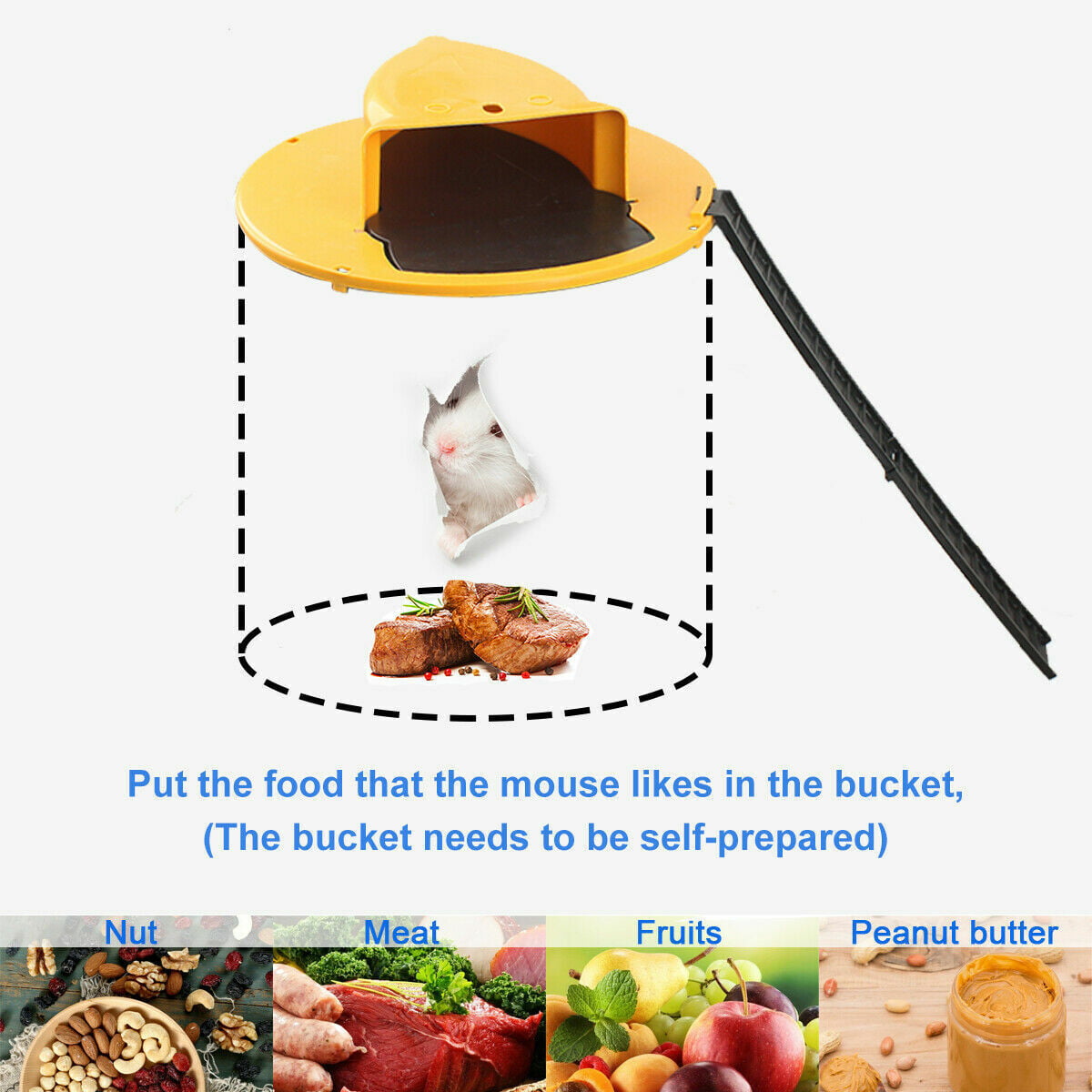 How to Build a Bucket Mousetrap - The Budget Diet