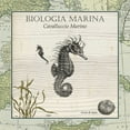 thumbnail image 2 of Vision Studio 26x26 Black Ornate Wood Framed with Double Matting Museum Art Print Titled - Biologia Marina III, 2 of 4