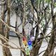 thumbnail image 3 of Crystal Ball Prisms Suncatcher Tree Of Life Window Hanging Ornament Rainbow Maker Pendant For Home, Garden Decoration -aqwg, 3 of 5