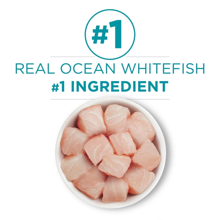 Purina ONE Ocean Whitefish Grain Free Wet Cat Food photo 4