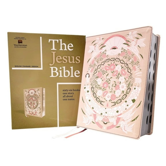 Zondervan's The Jesus Bible, NIV Edition, Imitation Leather, Pink