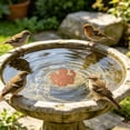 thumbnail image 1 of Copper Bird Bath Plate Series 4 Inch Decorative Purification Plate with Support Points Suitable for All Seasons Suitable for Outdoor Bird Bath Water Purification, 1 of 4