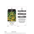 thumbnail image 2 of 2 Gallon Yellow Potentilla Flowering Shrub, 2 of 6