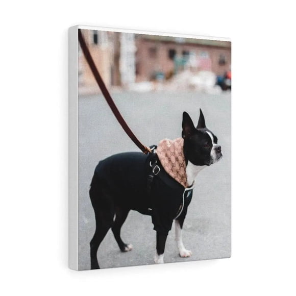 Custom Canvas Gallery Wraps - Pet Lover Gifts