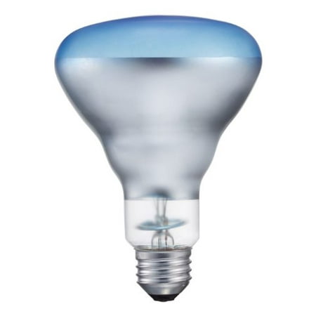 

Philips 415281 Agro Plant Light 75-Watt Medium Base BR30 Flood Light Bulb