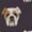 588, variant on Cute Dog Emoji Pattern Print Sleeveless Bodycon Dress, Dog Pet Lover Fashion Summer Maxi Dress For Women