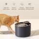 thumbnail image 4 of Fuente de agua automática para perros Salvador USB súper Silencioso, 4 of 5