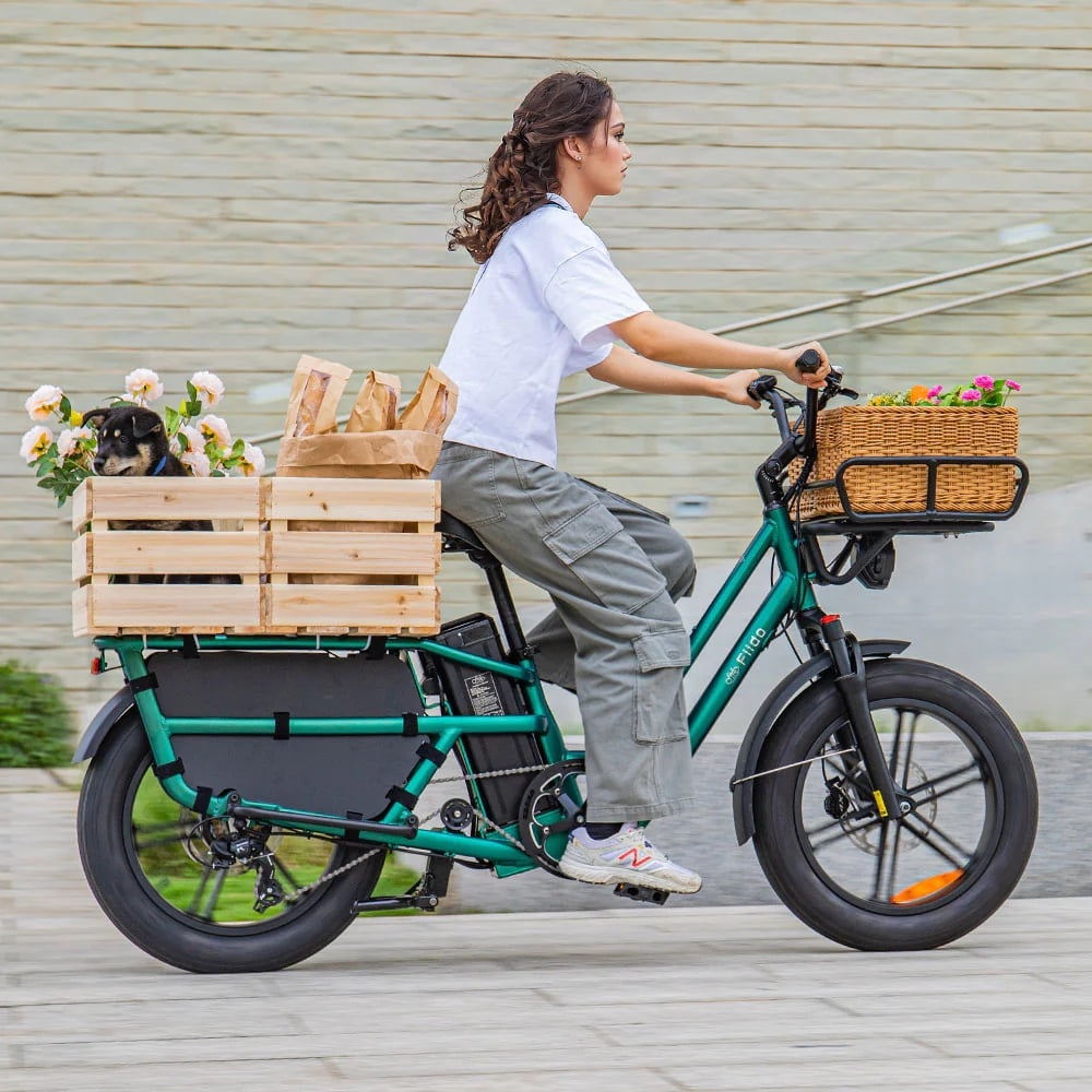 Fiido T2 Black Cargo Electric Bike Class 3 Long Tail Ebike 750W 20Ah Removable Battery E-Bike