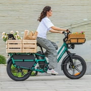 Fiido T2 Black Cargo Electric Bike Class 3 Long Tail Ebike 750W 20Ah Removable Battery E-Bike