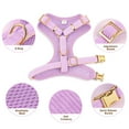 thumbnail image 5 of Didog 3pcs Bow tie Dog Collar Harness with Leash Set Soft Adjustable for Girl Boy Dogs, 5 of 8