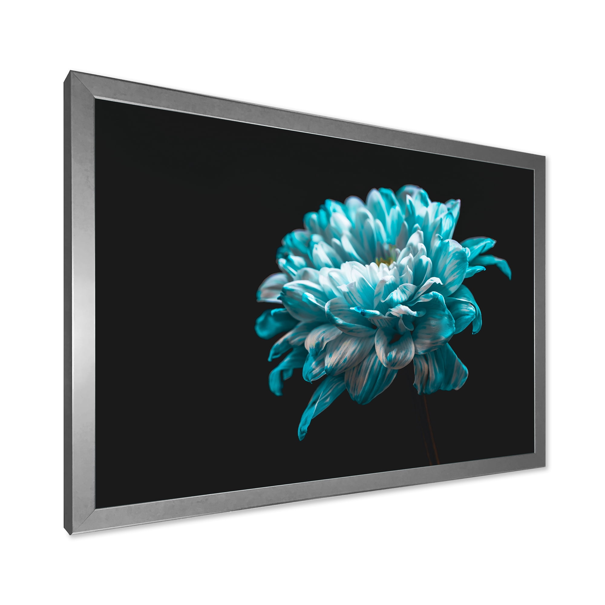 Designart 'Close Up Of White and Pure Blue Daisy Flower II' Traditional Framed Art Print