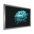 thumbnail image 2 of Designart 'Close Up Of White and Pure Blue Daisy Flower II' Traditional Framed Art Print, 2 of 4