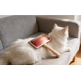 thumbnail image 6 of Pet Hair Brush for Dogs and Cats, Dog Grooming Brush with Wooden Handle, Medium Sized Slicker Brush, Steel Bristles, Deep Cleaning, Removes Loose Undercoat, Red, 4.5 x 3.5 x 1.8 in / 11.5x9x4.5cm, 6 of 8