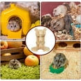 thumbnail image 2 of SLYNSHome Water Bottle Stand for Hamsters,Wooden Water Fedders Holder Bottle Holders for Gerbils Mice Rats Guinea Pigs Rabbits Small Pet (No Bottle), 2 of 9