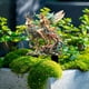 thumbnail image 5 of Jardín Forestal Elfos y Cérvidos, Inserto de Pile de Acrylic, Escena de Jardín, Dcoration de Pote, para Salón, con Acrylic, Resistente al Clima, para Exterior, Decoración Exterior, Escultura, 5 of 6