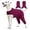 Burgundy, variant on HQREA Dog Recovery Suit for Medium Large Dogs Female Body Suits after Surgery Two-legs Doggy Onesie for Stop Licking & Wound Protection
