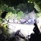 thumbnail image 3 of Linterna Potente ANGGREK Para exteriores Luz de Advertencia COB, 3 of 7