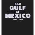 thumbnail image 4 of RIP Gulf of Mexico 1607-2025 Youth Black Crew Neck Short Sleeve Tee-Medium, 4 of 4