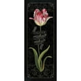 thumbnail image 3 of Audit, Lisa 8x14 Black Modern Framed Museum Art Print Titled - Tulipa Botanica III, 3 of 5