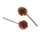 thumbnail image 5 of 2x 50 Piezas Flores Naturales Prensadas y Secas para Decoración DIY Artesanías de Decoración de Pared, 5 of 9