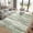 Green, variant on UERMEI 8'x10' Area Rugs for Living Room, Modern Abstract Washable Rug for Bedroom Dining Room Office, Non-Slip Soft Low Pile Home Decor Carpet Accent Rug, Dark Gray