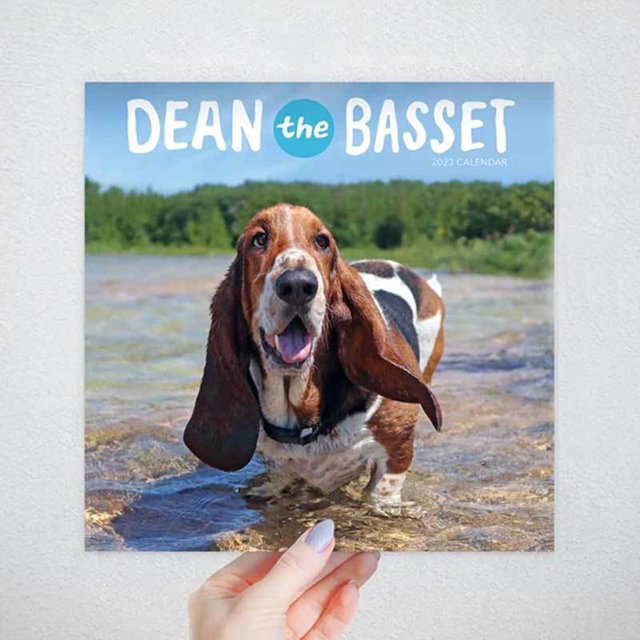 Calendario 2023 creativo elegante lindo perro Calendario de Adviento papel grueso regalos de Navidad Sywqhk Libre de BPA