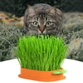 thumbnail image 3 of Flower Pot Cat Planter Hydroponic Kit for Soilless Indoor Growing Cat-Themed Garden Accessory, 3 of 4