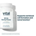 thumbnail image 3 of Vital Nutrients - Vitamin B12 / Methyl Folate - Supports Healthy Brain Cell Function - 100 Vegetarian Capsules per Bottle, 3 of 6
