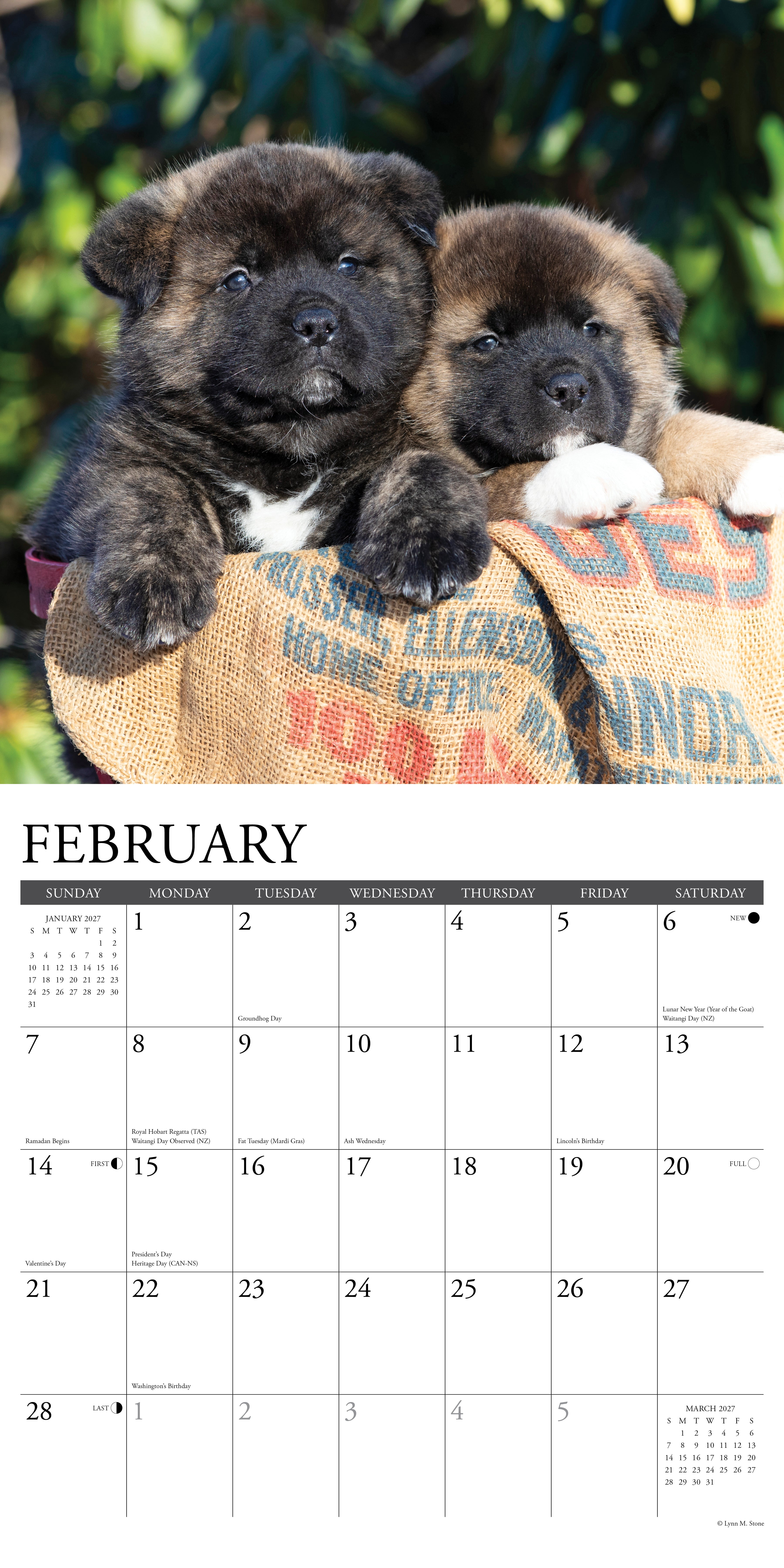 Willow Creek Press, Akitas 2027 Wall Calendar