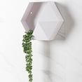 thumbnail image 5 of Advancent Estante de pared hexagonal Estante de almacenamiento hexagonal geométrico Estante flotante de pared geométrico simple Almacenamiento y organización del hogar No.6 Advancent HA039844-06, 5 of 5