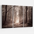 thumbnail image 2 of Forest Trail in Sepia, 2 of 3