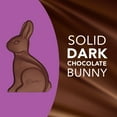 thumbnail image 3 of Dove Easter Bunny Dark Chocolate Candy Gift - 4.5 oz, 3 of 12
