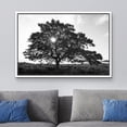 thumbnail image 2 of wall26 Framed Canvas Print Wall Art Sunlight Shines Through Large Mountain Tree Floral Nature Photography Realism Expressive Dark Black and White for Living Room, Bedroom, Office - 24"x36", 2 of 5