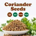 thumbnail image 4 of Coriander Seeds, Non-GMO Verified, 12 Pounds — Kosher, Raw, Vegan — by Food to Live, 4 of 8