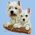 thumbnail image 3 of CafePress - West Highland White Terrier Light T Shirt - Light T-Shirt - CP, 3 of 4