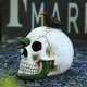 thumbnail image 5 of Halloween Decoration, Hand-Painted Spooky Resin Skull with Snake and Crow Statue, Skeleton Sculpture Ornament, 5 of 5