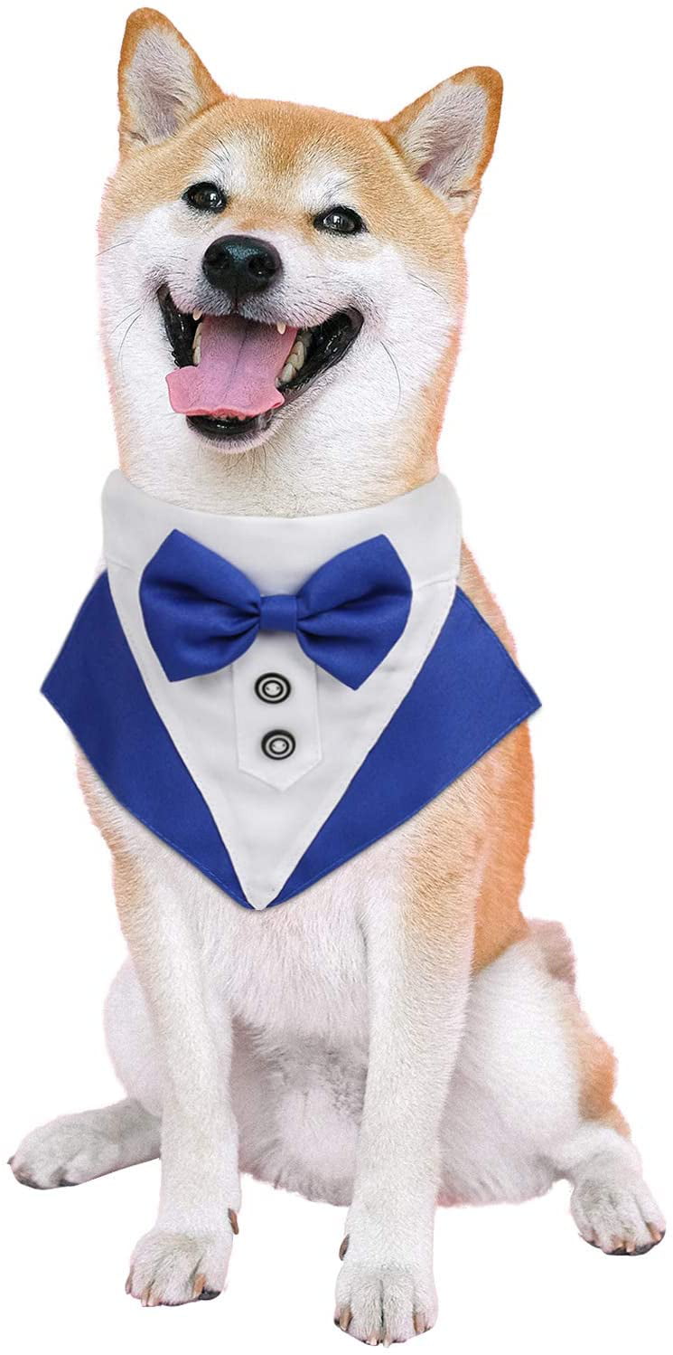 dog accessories pet supplies luxurious clothes pet dress pet tuxedo pet suit Christmas suit dog harness pet neckwear dog clothes