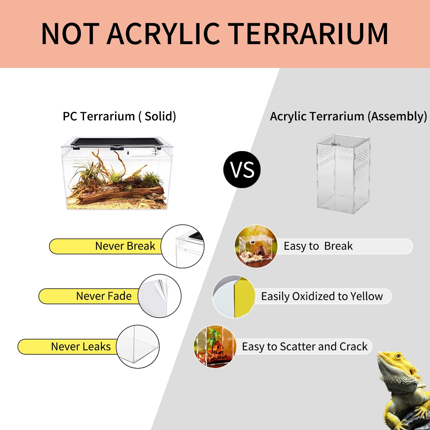 Reptile Growth Reptile Terrarium 16" x 8"x 10",for Insect,Fish,Tarantula,Hermit Crab,Jumping Spider,Iguana,Tortoise,Leopard Gecko,Bearded Dragon.