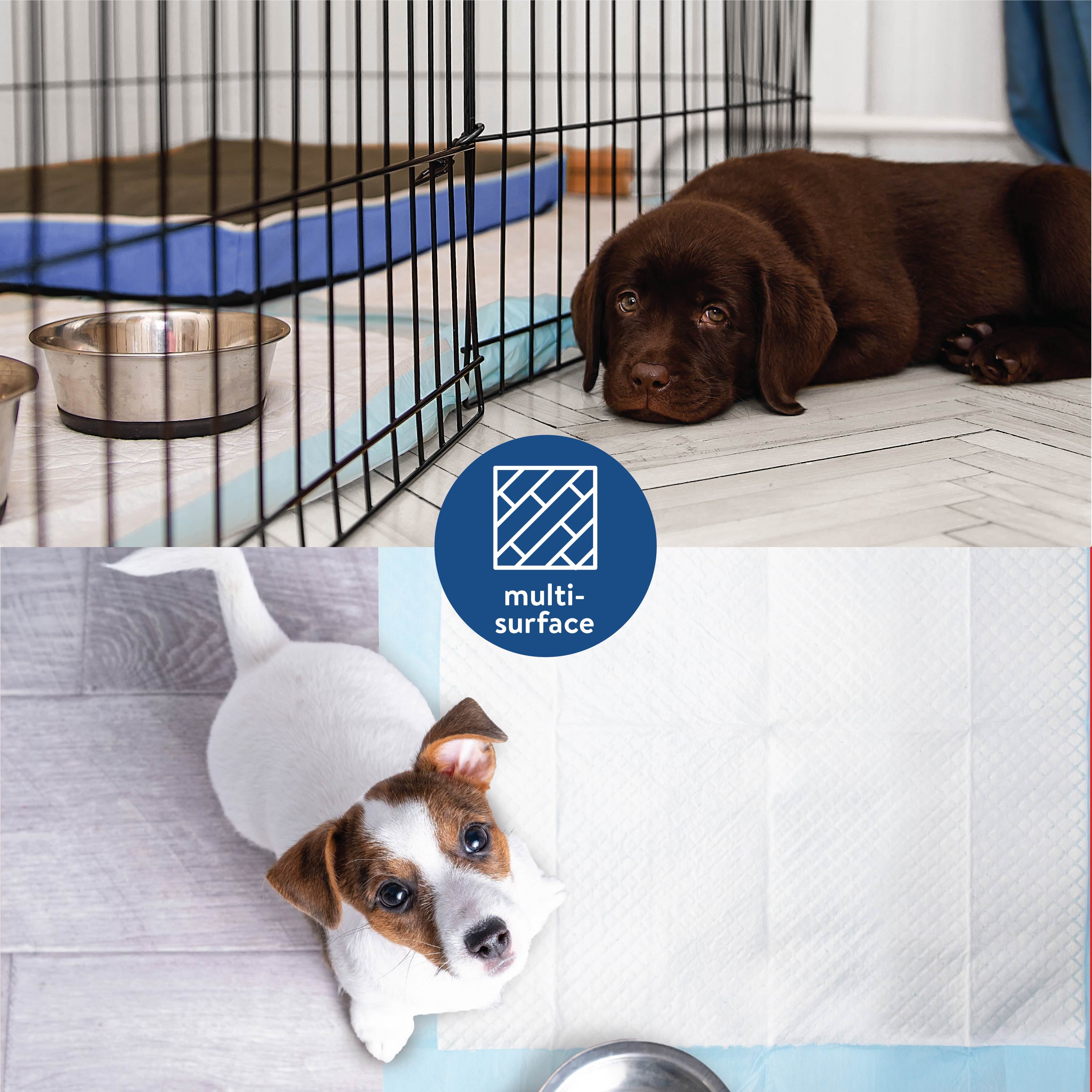 Brilliance Puppy Training Pads, 50 Count Leak-Proof Disposable, 22" x 22"