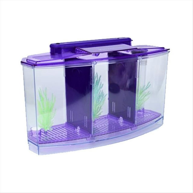 Mini Acuario de Cría para Peces, Acuario LED Acrílico de Divisiones, Caja de Aislamiento para Cría de Peces Pequeños, Color .