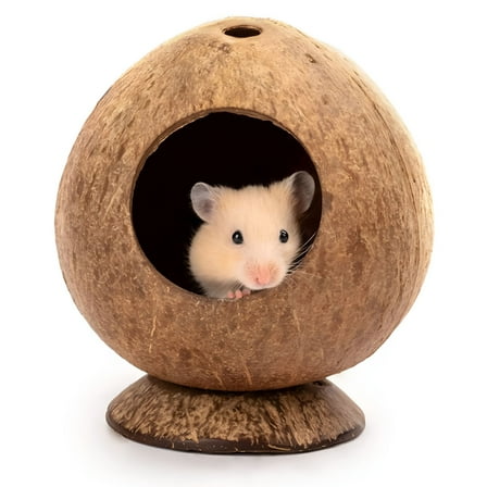 BESTSKY Coconut Shell House for Hamsters, Raw Coco Husk, Pet Hiding House, Climber or Chew Toy, for Mice, Rats, Gerbils